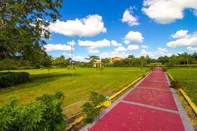 Finca con área para siembras de árboles frutales - Imagen 9