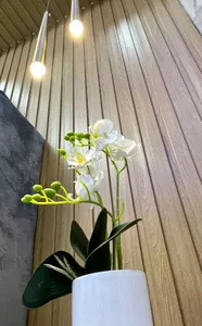 Apartamento amueblado en alquiler de 2 habitaciones en la Zona Universitaria - Imagen 9