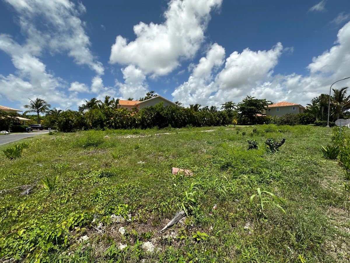 Terreno en Residencial Cocotal - Punta Cana - Vista 4