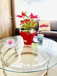 Alquiler Amueblado en Evaristo Morales - Imagen 22