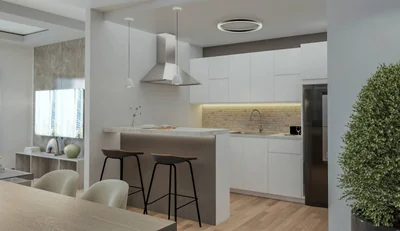 OPUS SANTO DOMINGO. - Imagen 9