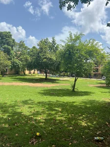 Apartamento en Residencial Villa de Los Milagros, - Imagen 9