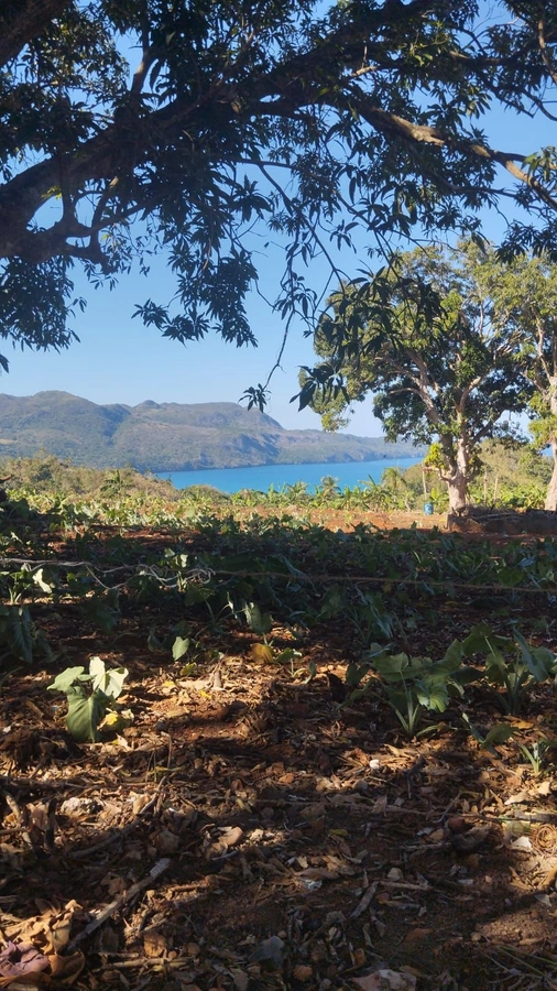 Terrono en Las Galeras Samana - Vista 2