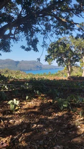 Terrono en Las Galeras Samana - Imagen 2