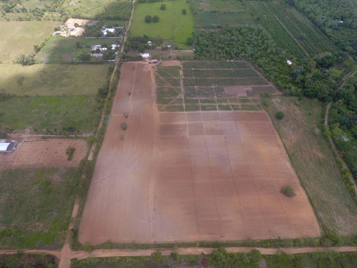 FInca en Yamasa - Vista 2