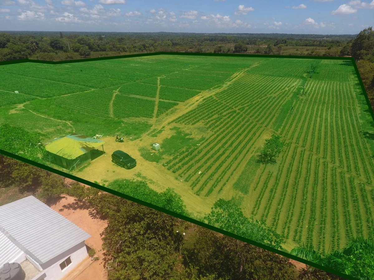 FInca en Yamasa - Vista 3