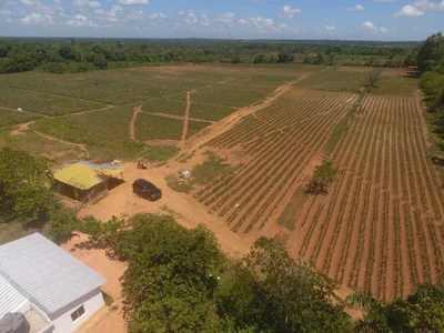 FInca en Yamasa - Imagen 4