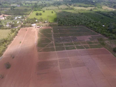 FInca en Yamasa - Imagen 5