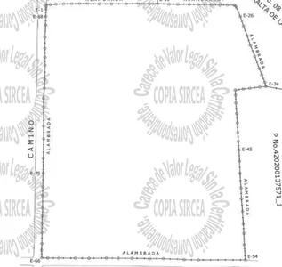 FInca en Yamasa - Imagen 6