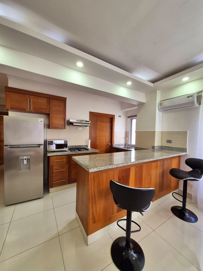 Furnished one-bedroom apartment - View 5