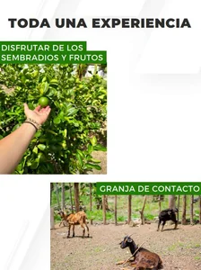 Finca productiva, probada y rentable - Imagen 15