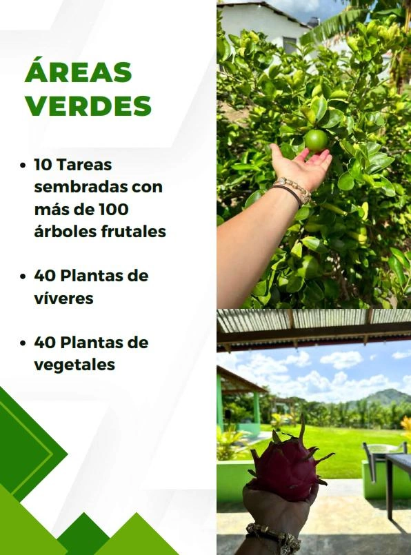 Finca productiva, probada y rentable - Vista 5