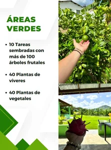 Finca productiva, probada y rentable - Imagen 5