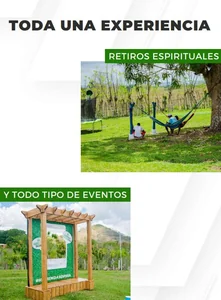 Finca productiva, probada y rentable - Imagen 9